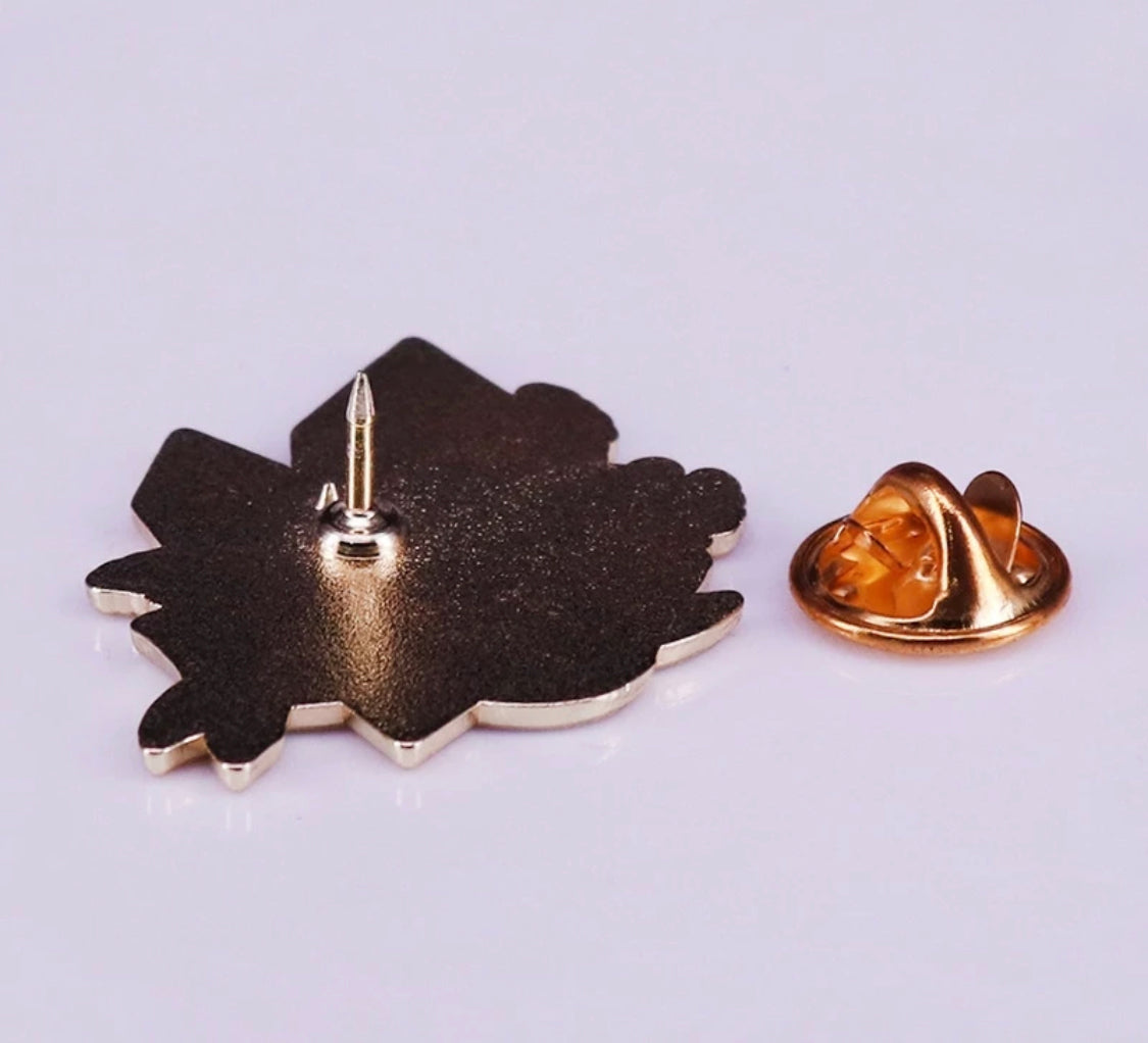 PROTECTION FROM ASSHOLES PIN